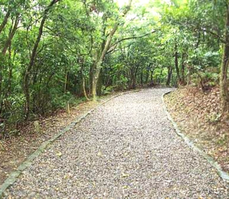 五指山系_大崙頭尾山親山步道